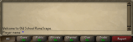 Chat Interface