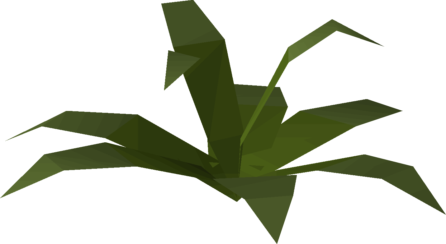 Fern (scenery)