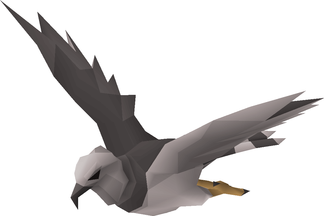 Sea hawk