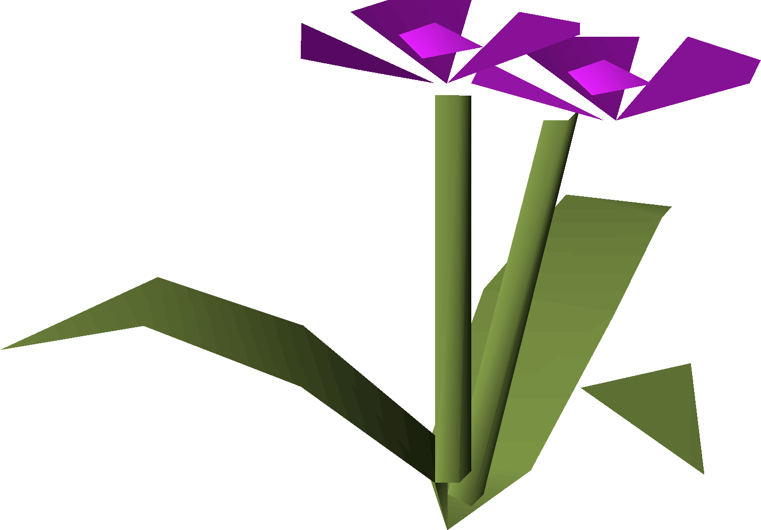 Violet flowers (2024 Pride event)