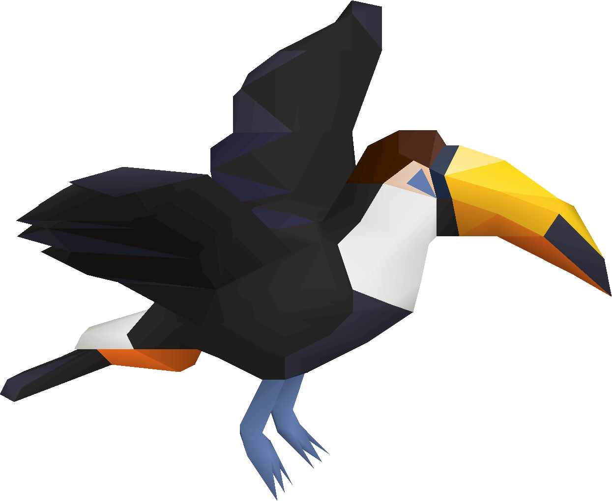 Toucan