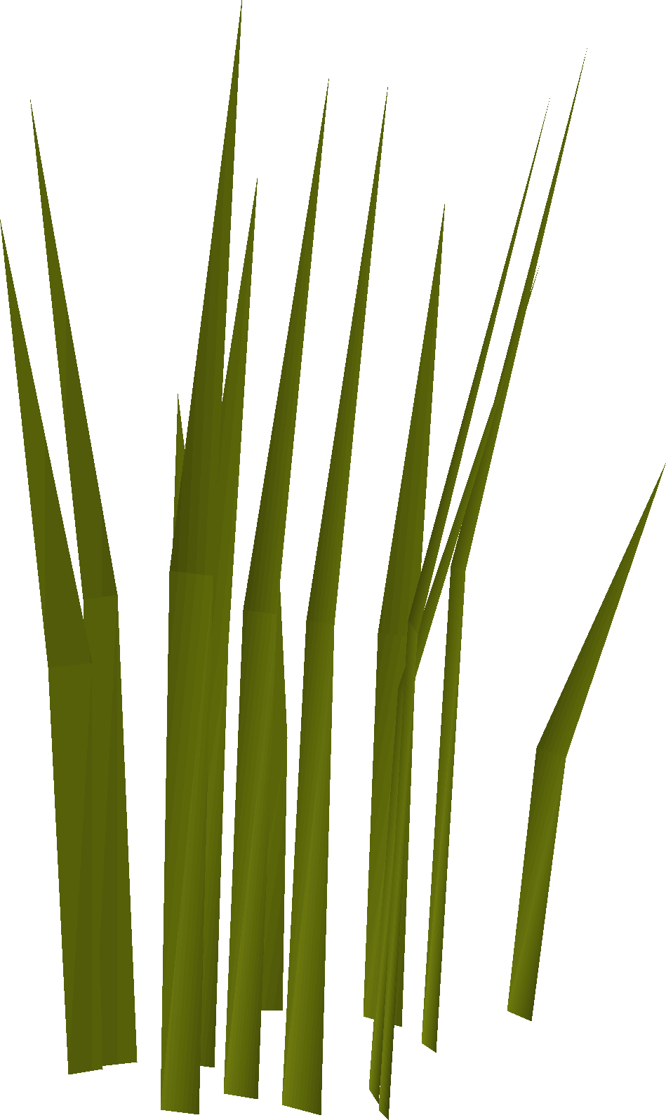 Grassland (Big Cats & WWF)