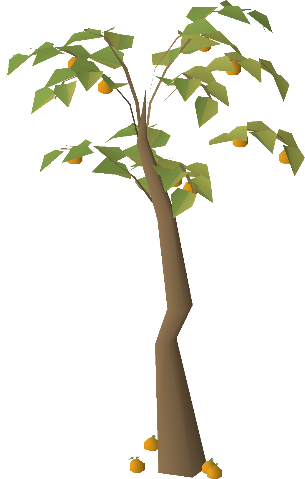 Orange tree (Locus Oasis)