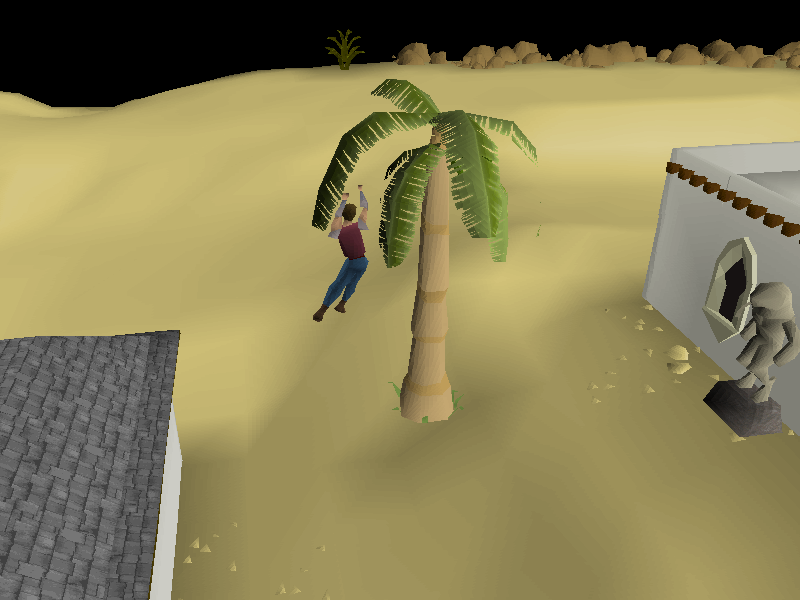 Tropical tree (Al Kharid Rooftop Course)