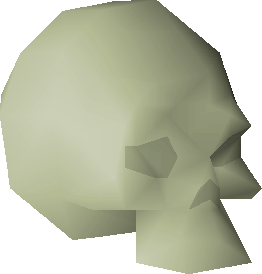 Small fossilised skull