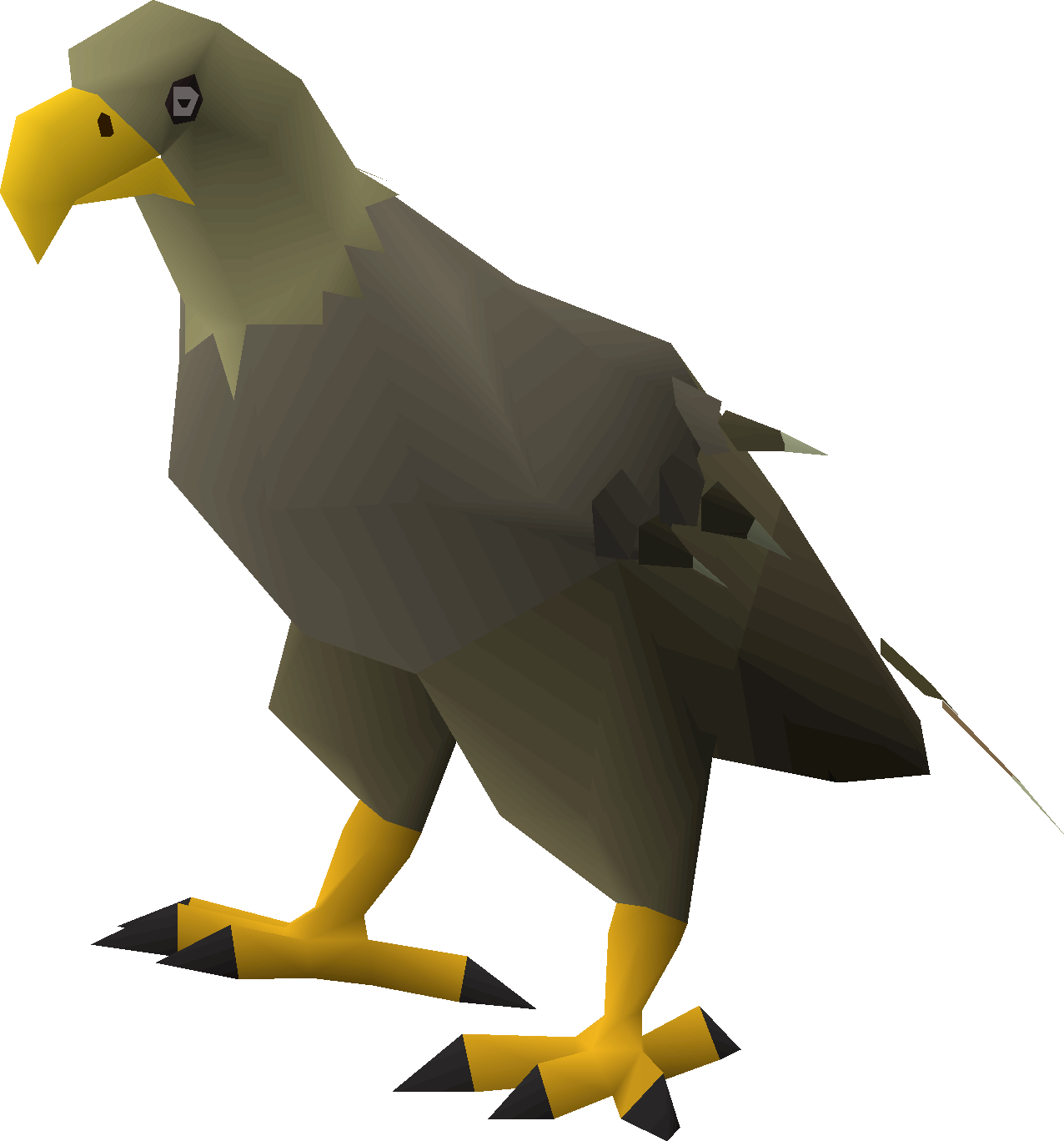 Jungle eagle