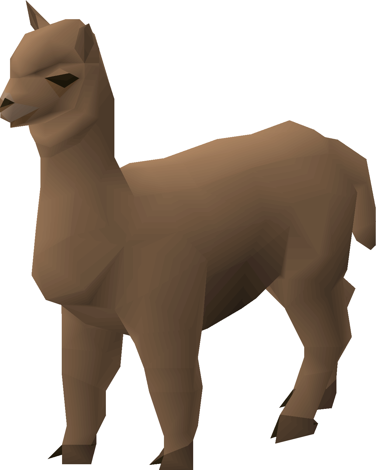 Alpaca cria