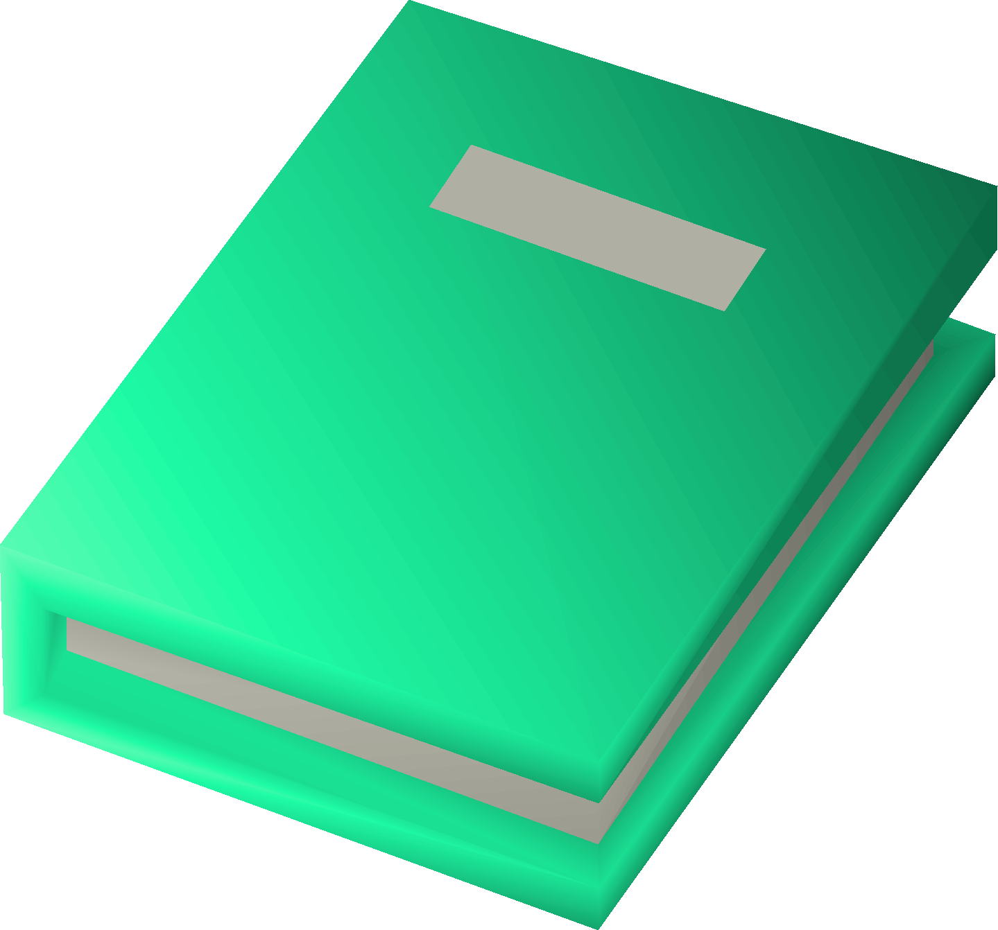 A handwritten book