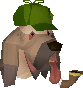 Bloodhound