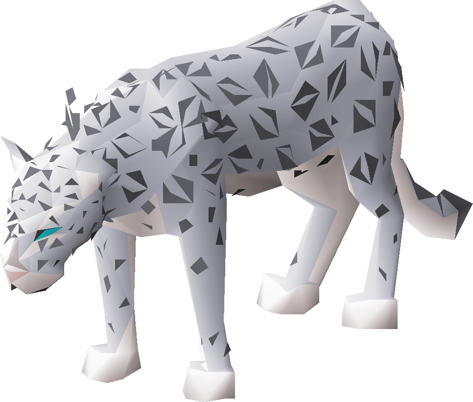 Female snow leopard