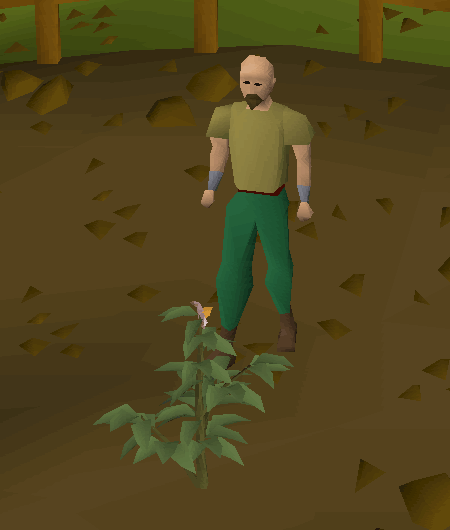 Money making guide/Picking potatoes