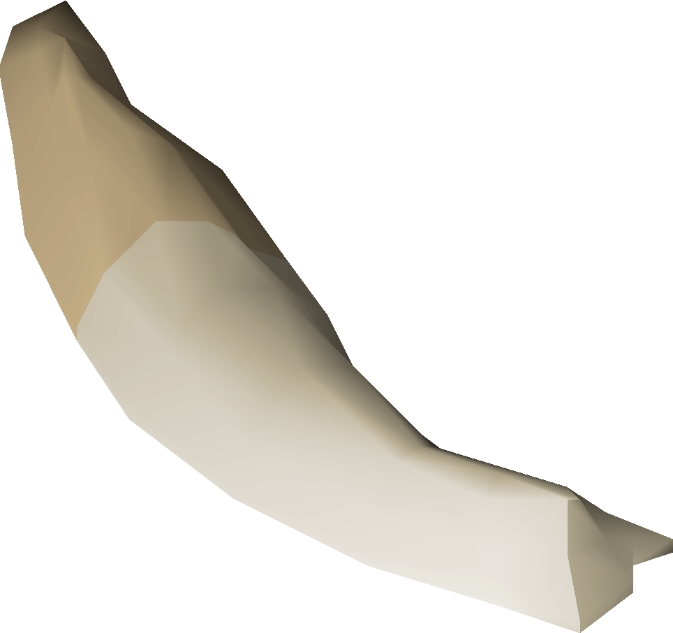Orca teeth