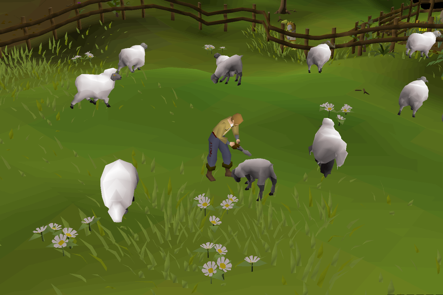 Sheep Shearer