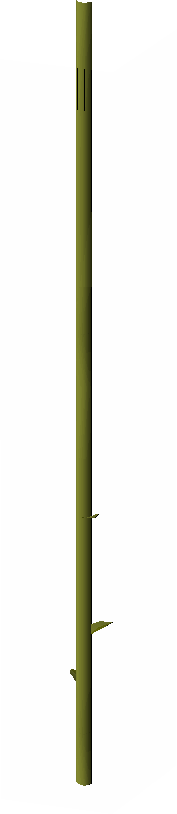 Vine (Kruk's Dungeon, swing)
