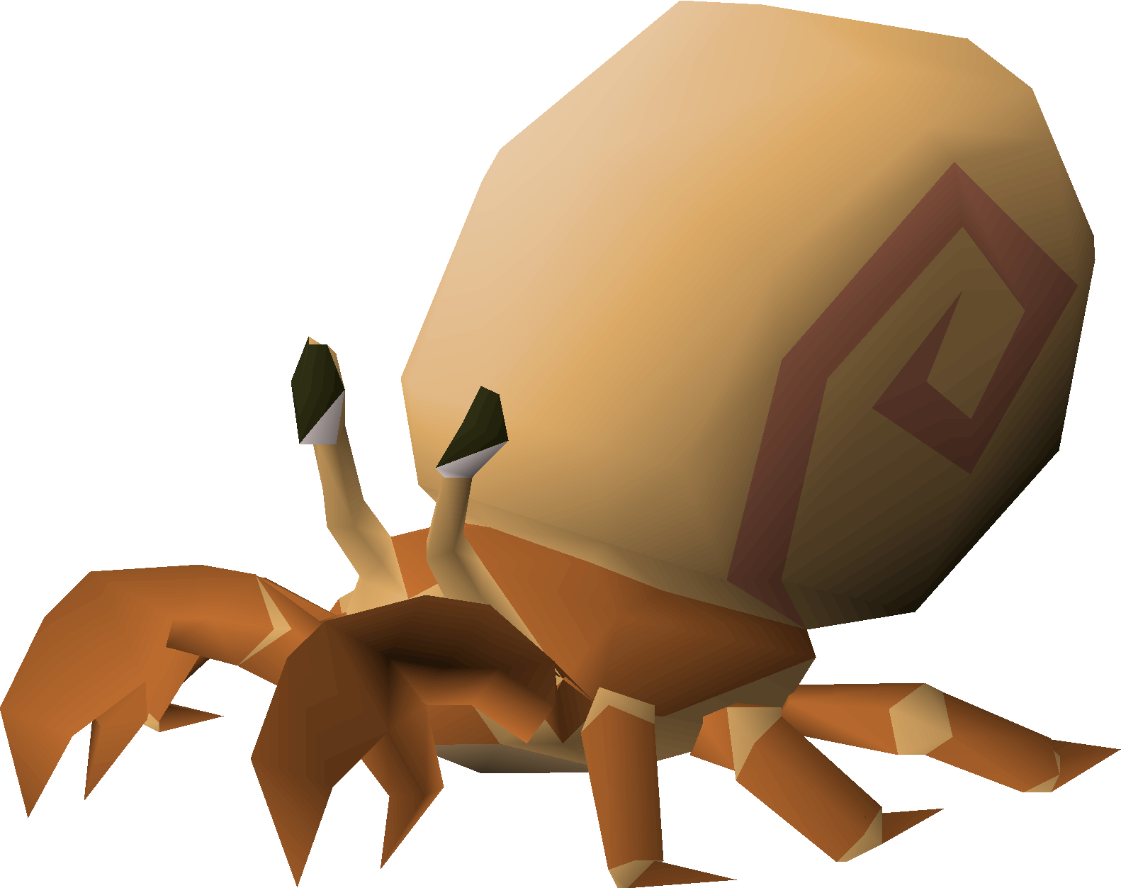 Hermit crab