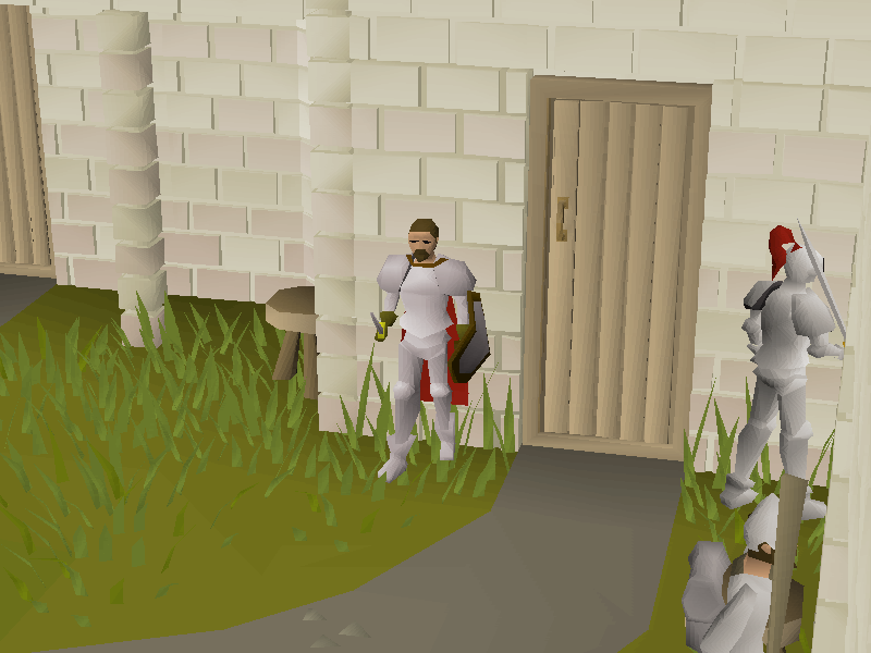 Falador Diary
