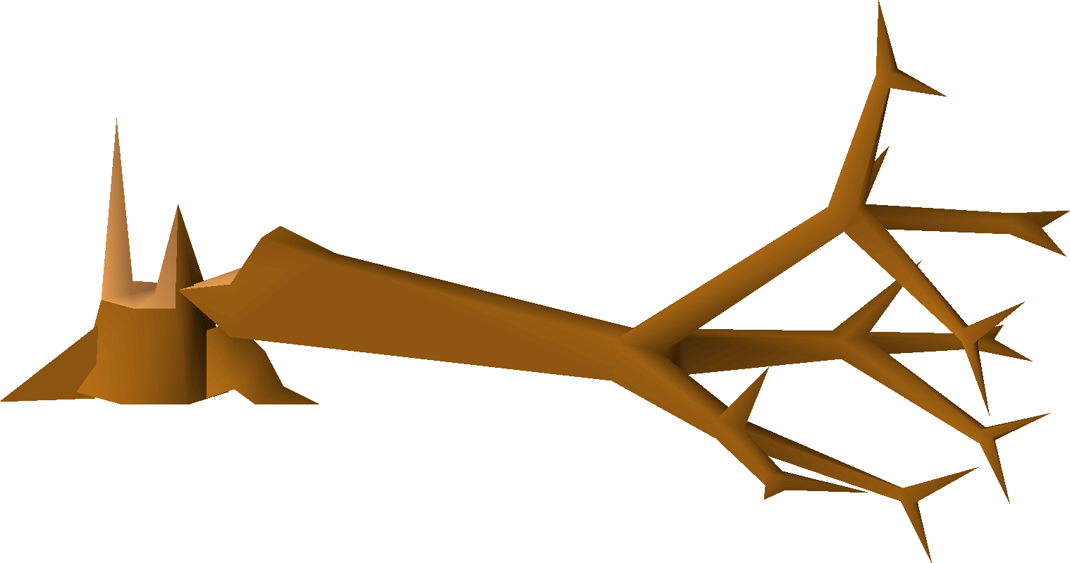 Fallen tree