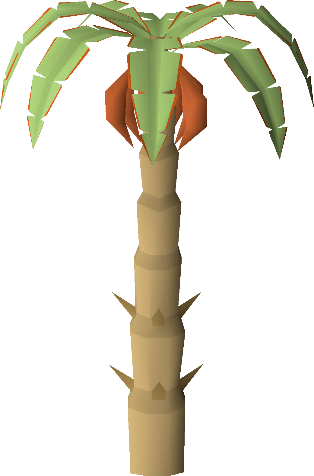 Banana tree (red banana)