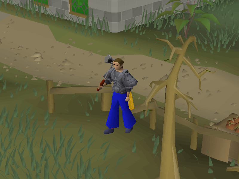 Varrock Diary