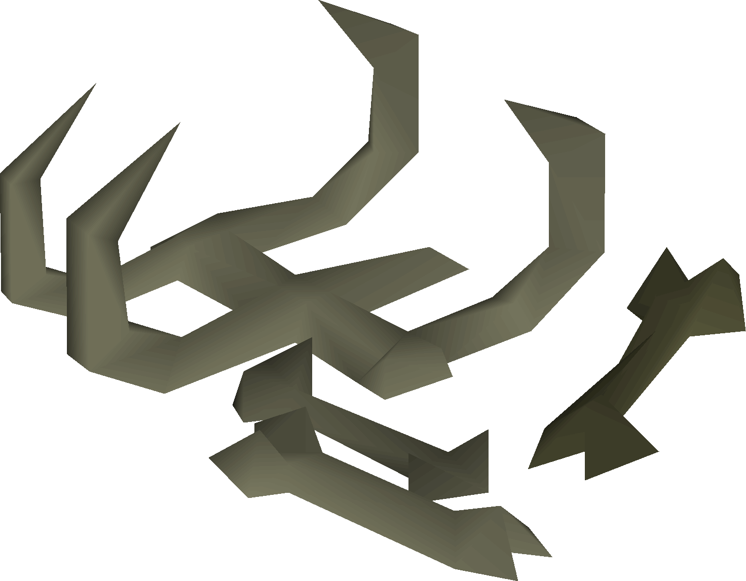Hydra bones