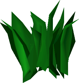 Torstol (plant)