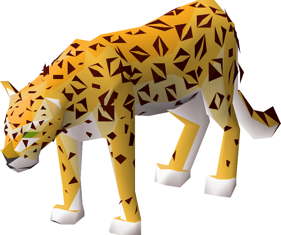 Male amur leopard