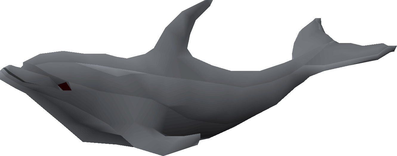 Dolphin calf