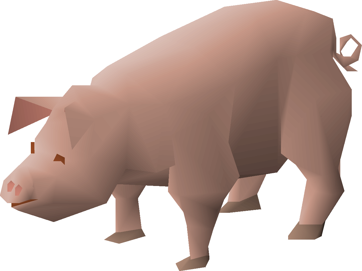 Pig