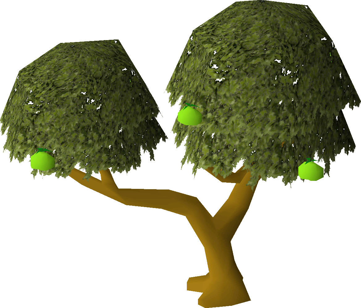 Apple tree