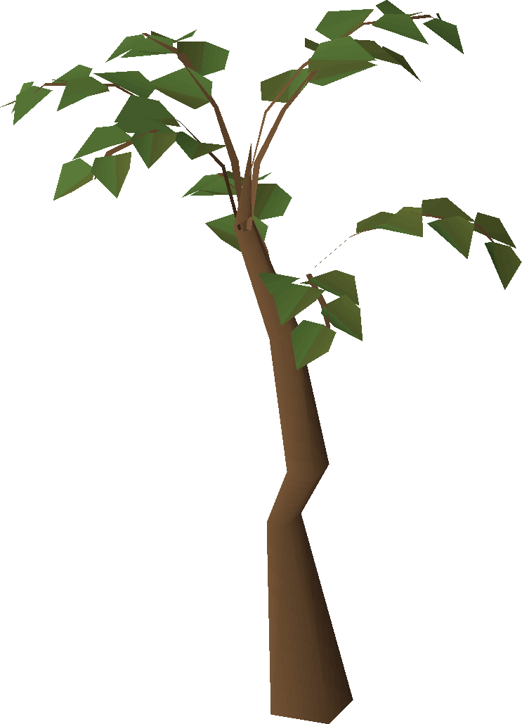 Jungle tree