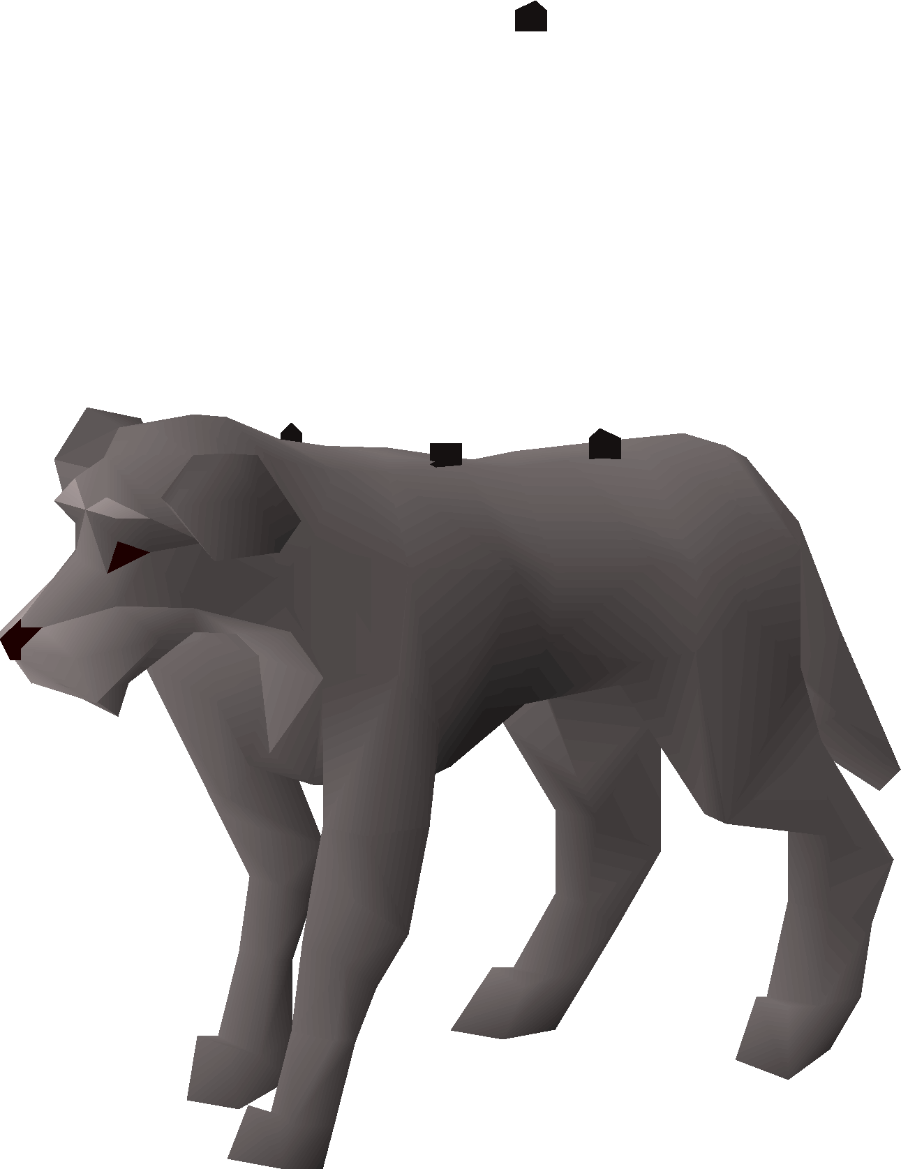 Duke (dog)