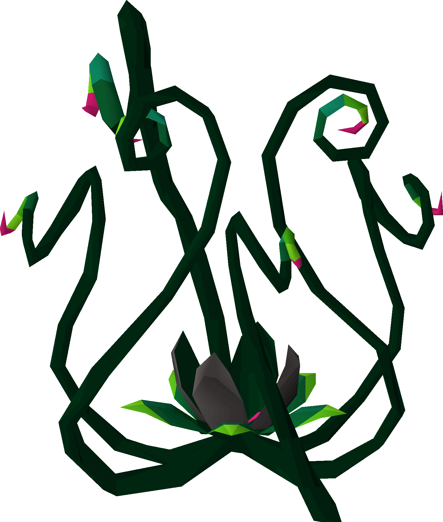 Medivaemia root