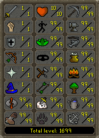Skill pure