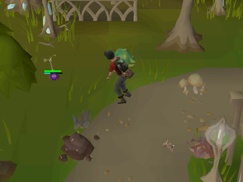 Struggling sapling (Forestry event)