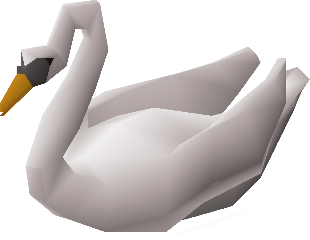 Swan