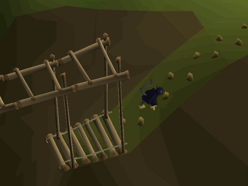 Skull slope (Ape Atoll Agility Course)