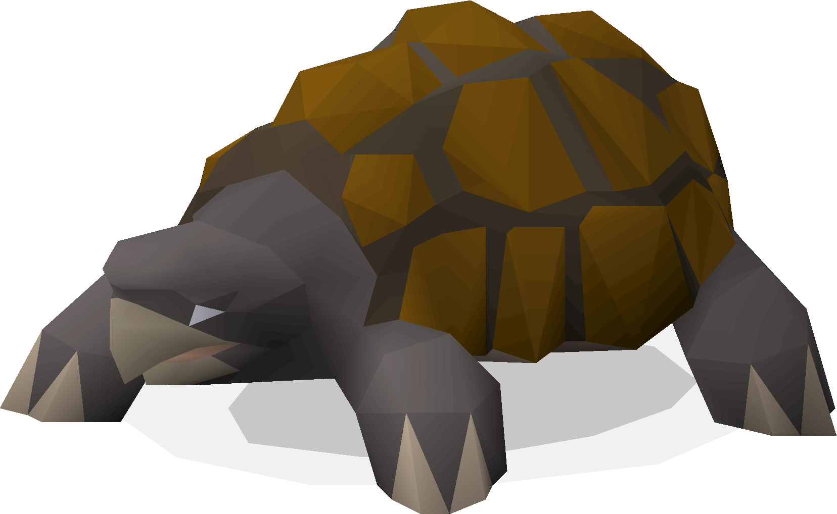 Tortoise (Sunbleak Island)