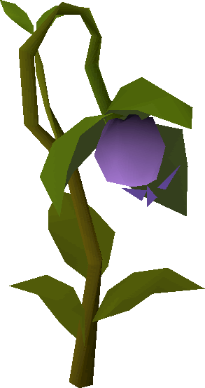 Strange plant