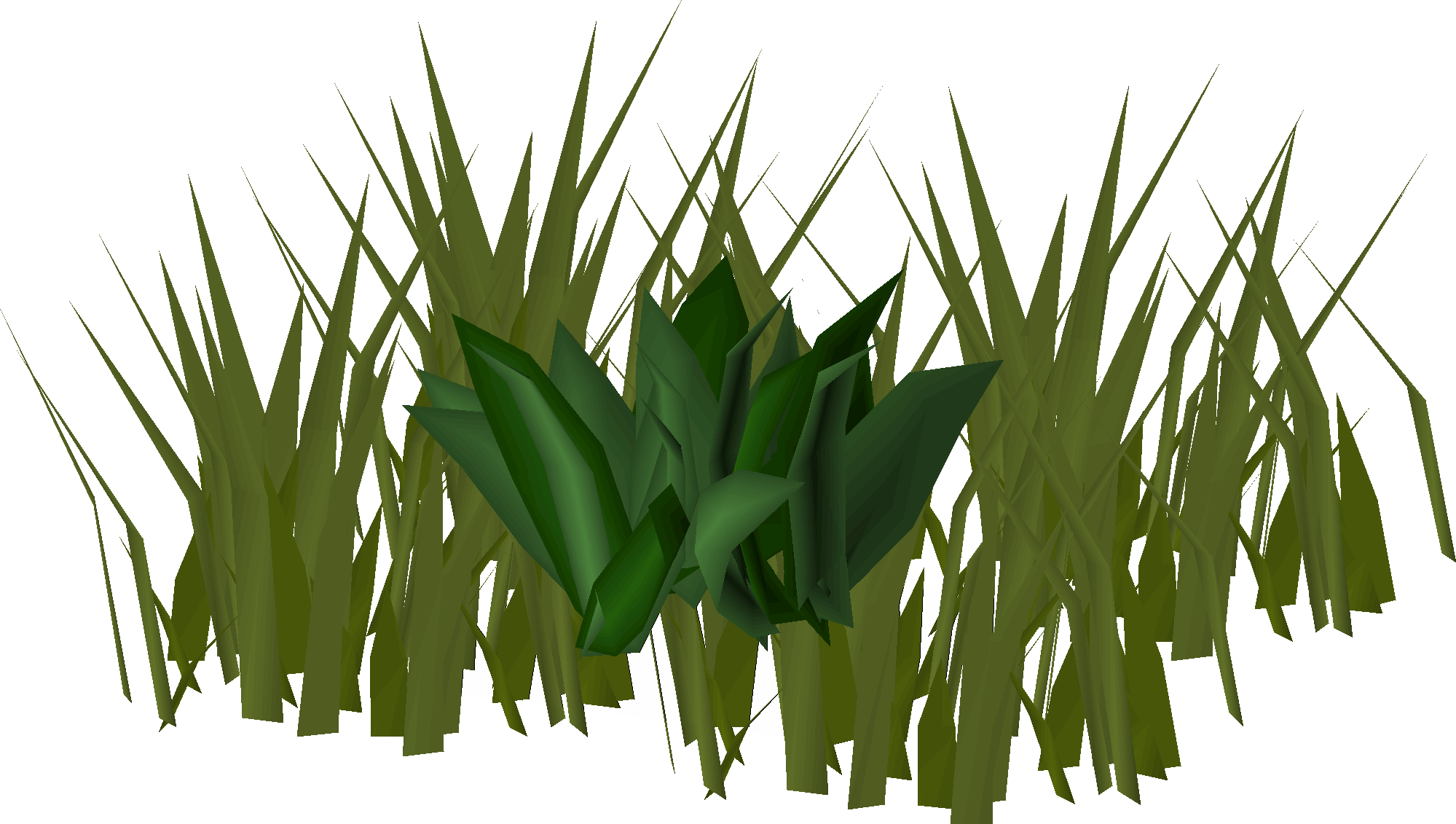 Herbs (Miscellania)