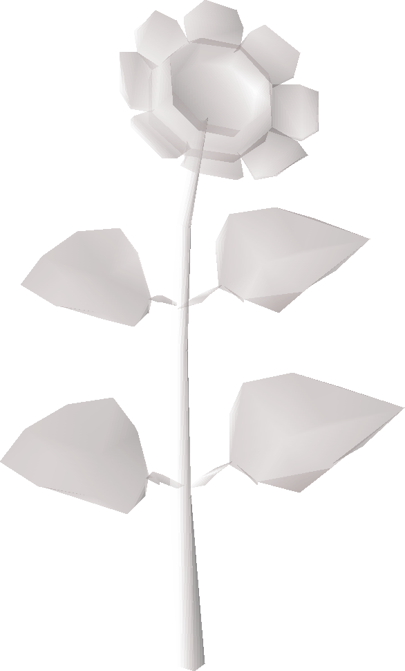 Big plant