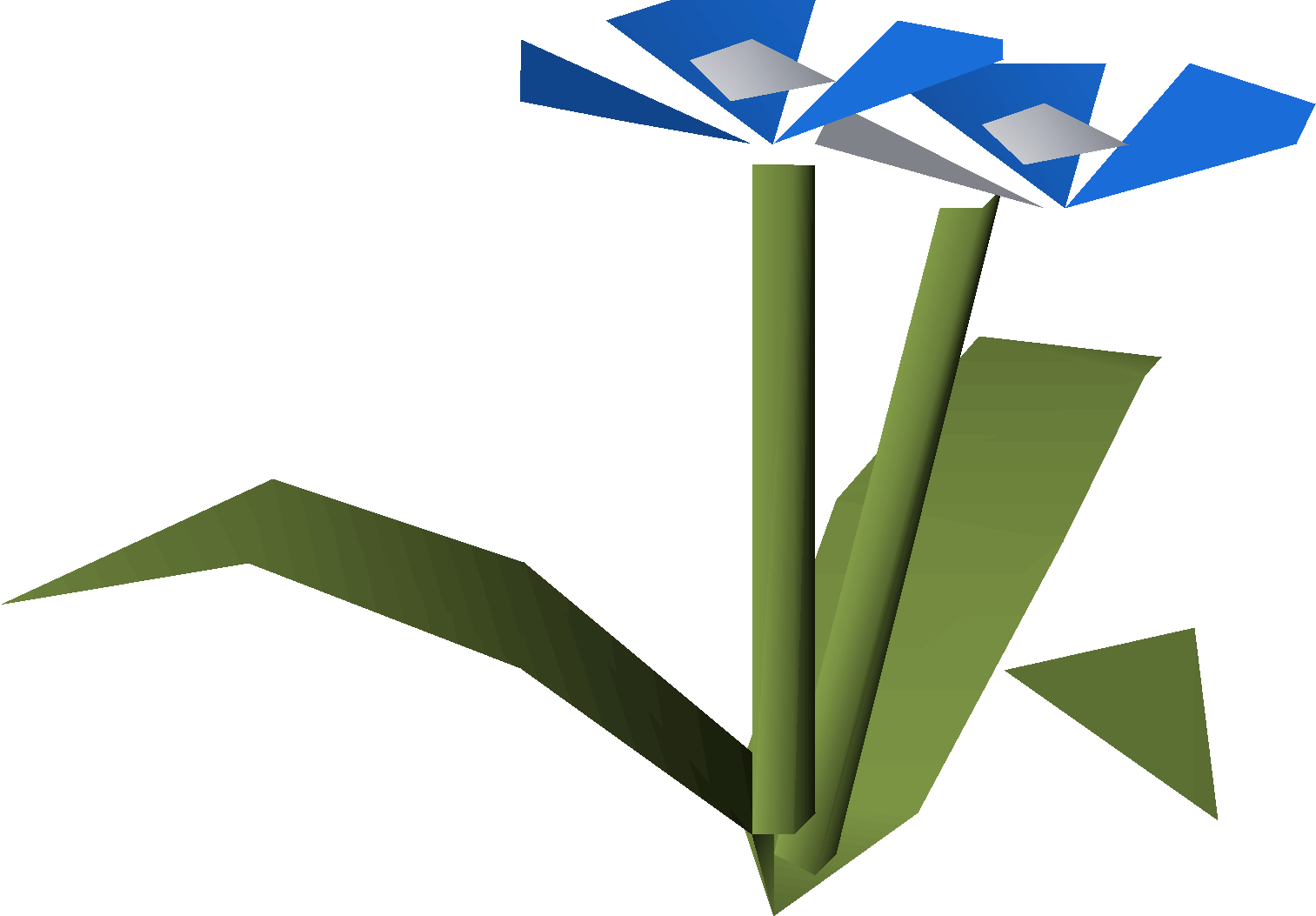 Indigo flowers (2024 Pride event)