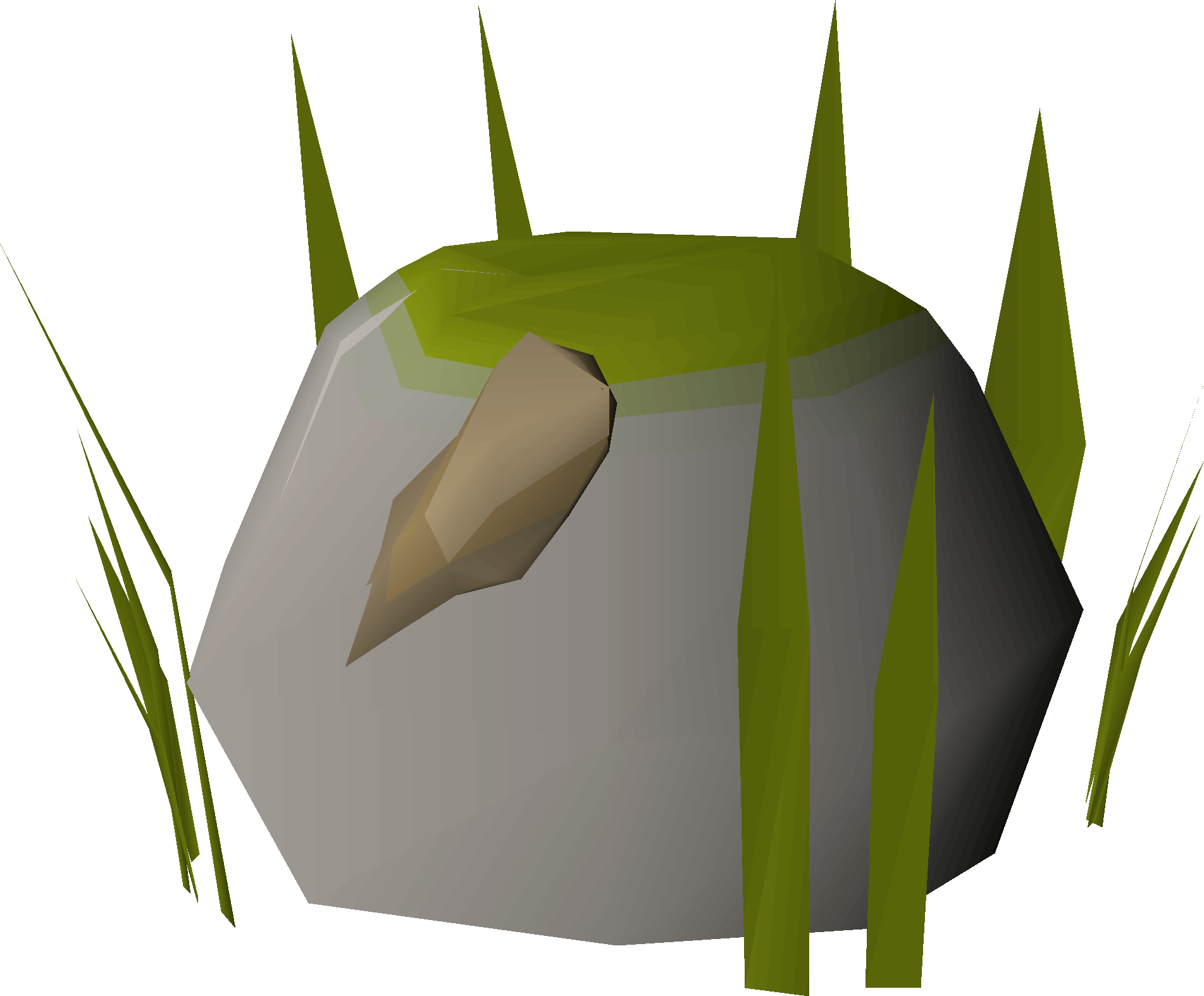 Rock (herbiboar)