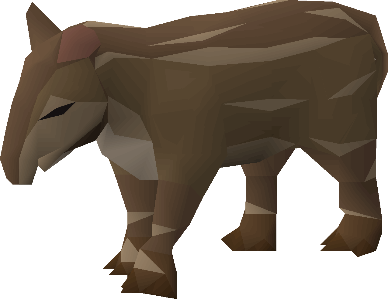 Tapir calf