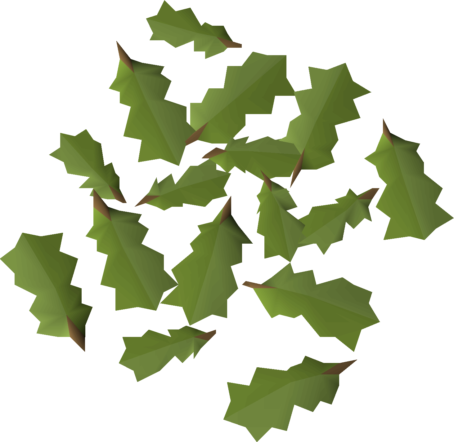 Oak leaves