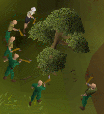 Botting