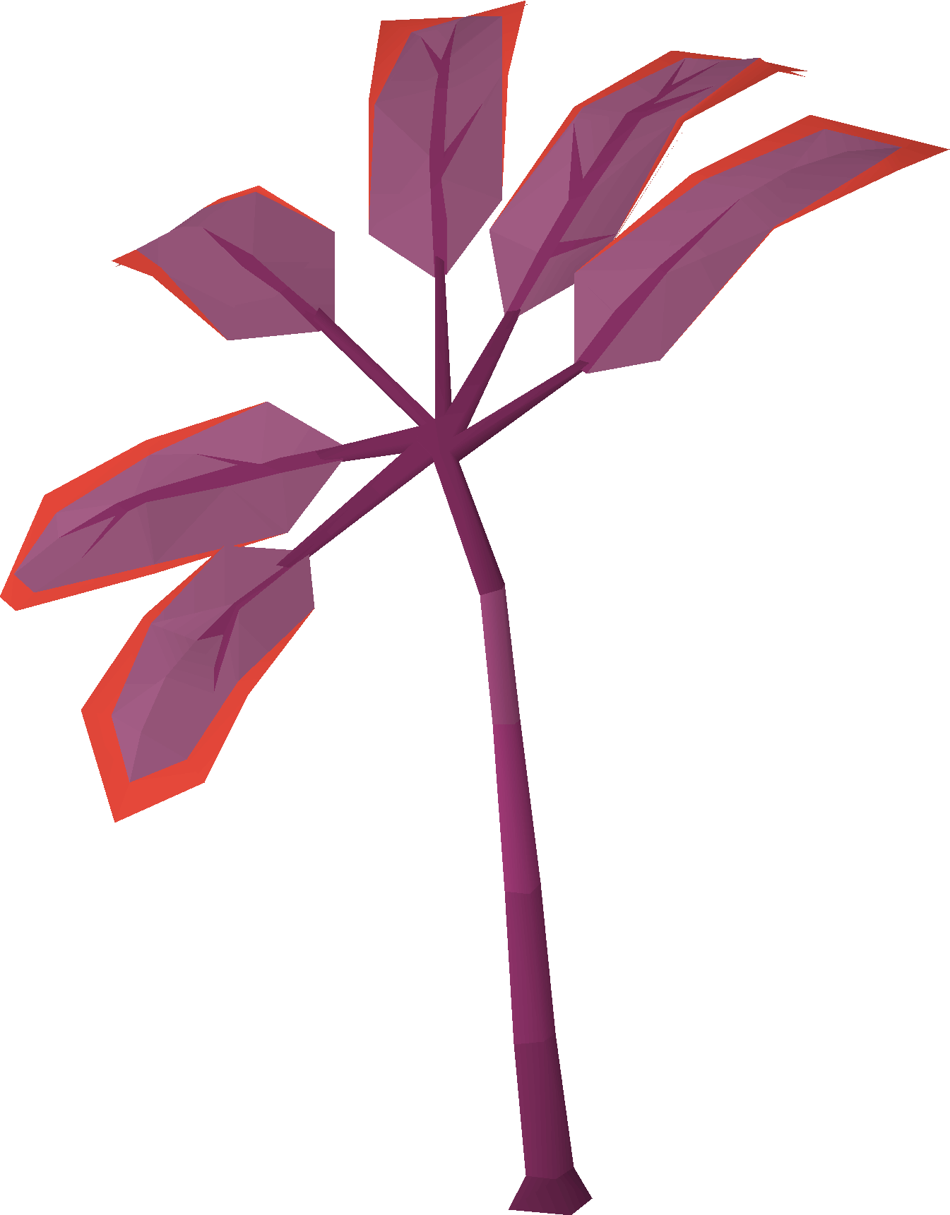 Tropical tree (The Great Conch)