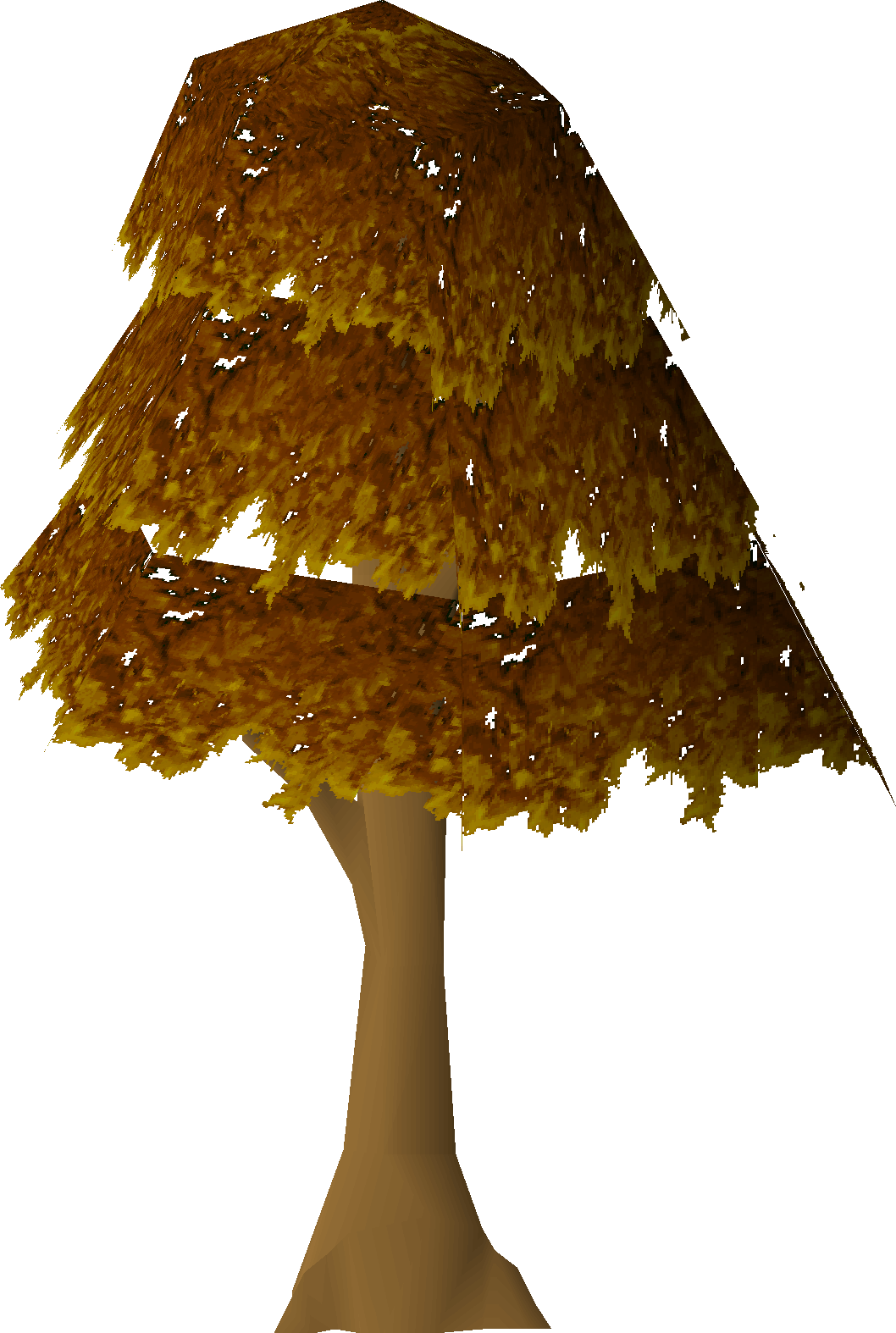 Maple tree