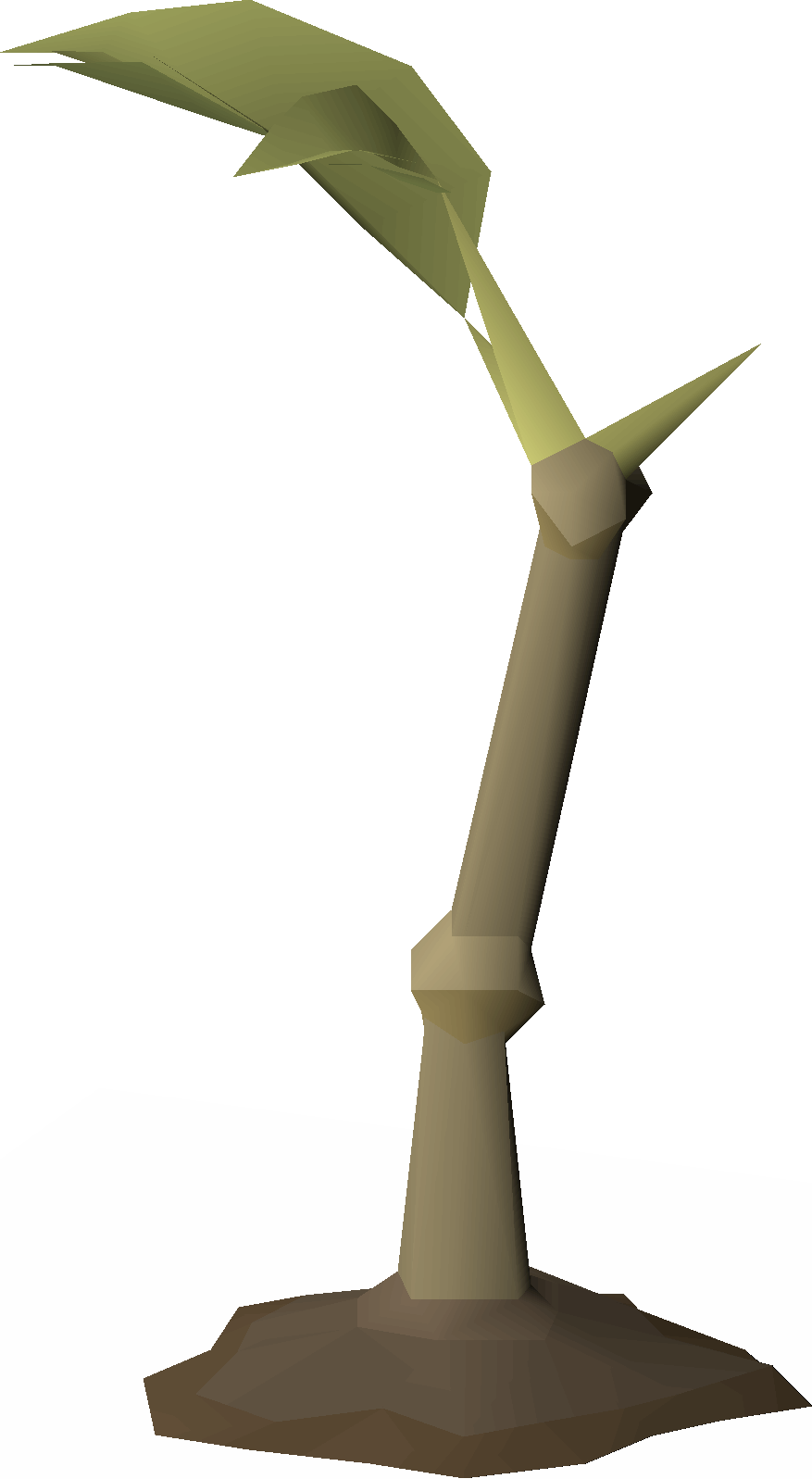Struggling sapling