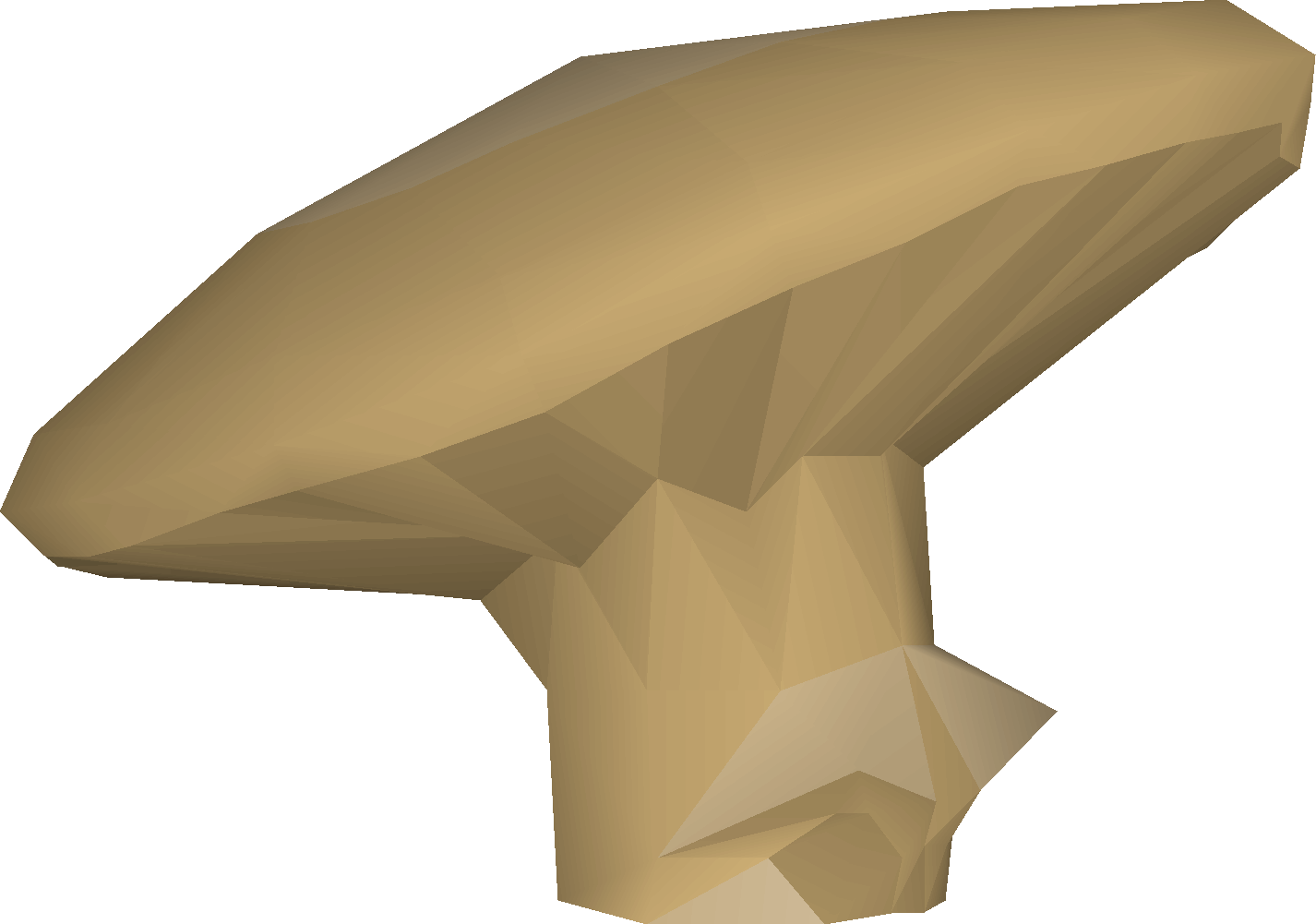 Fossilised mushroom