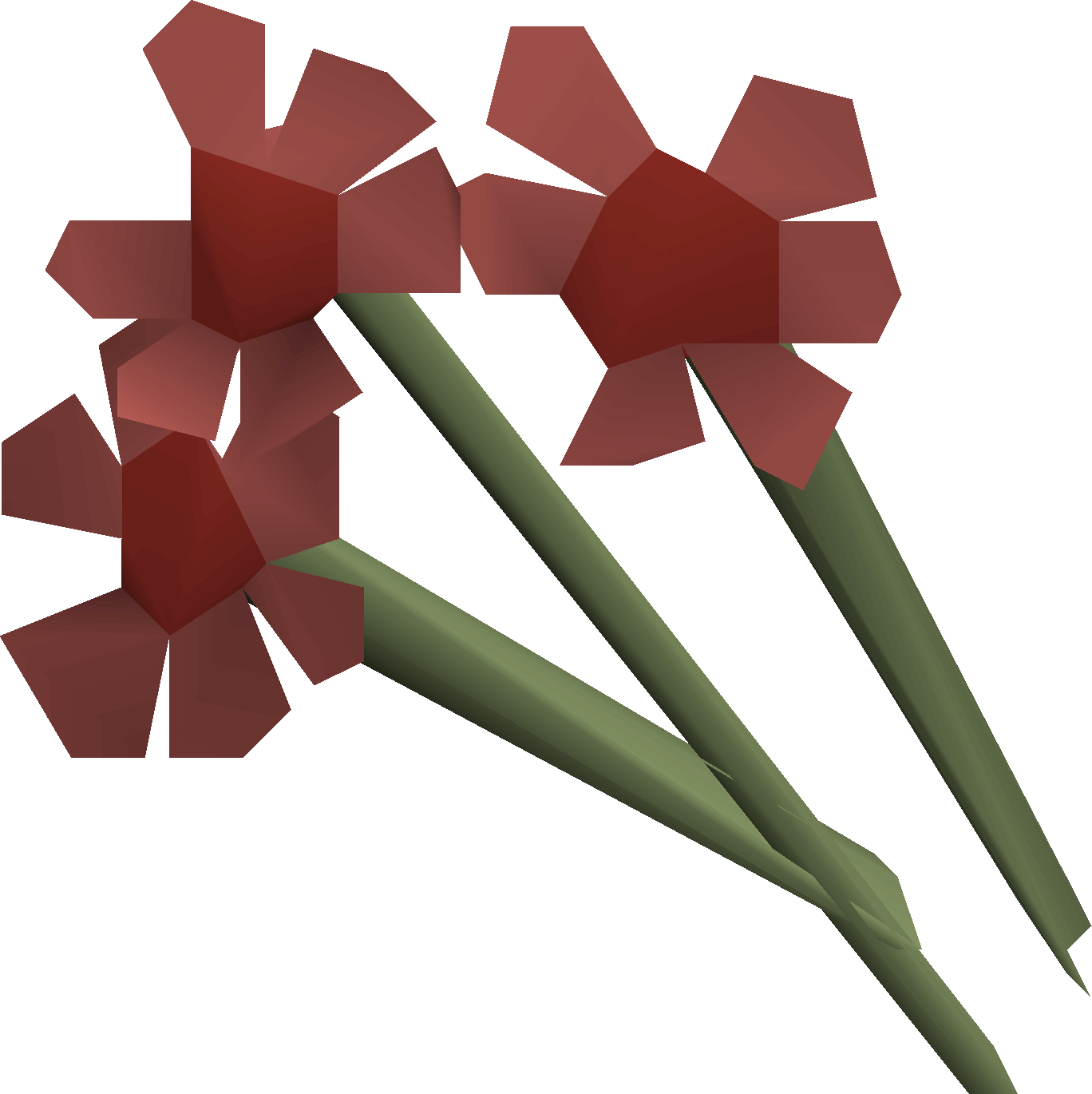 Exotic flower